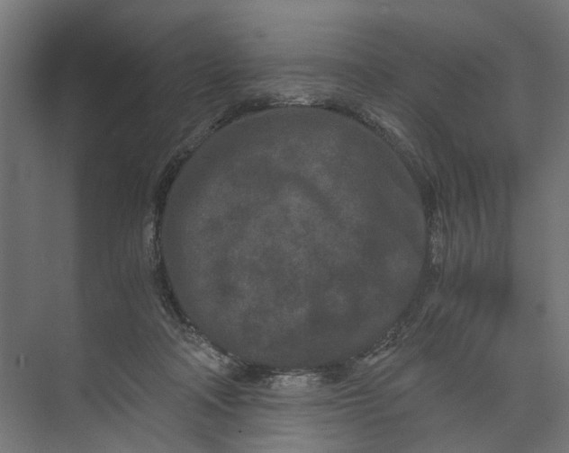 X0000073700314200608241424