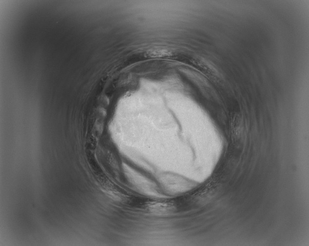 X0000073700315200608241424