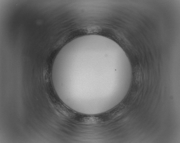 X0000073700316200608241424