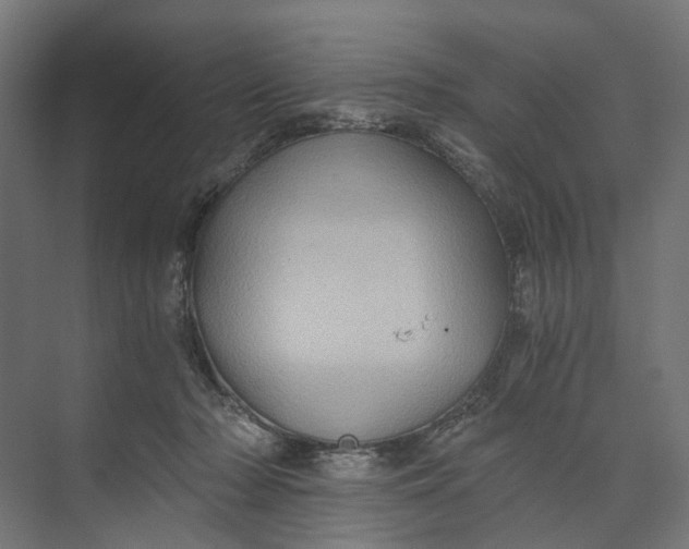 X0000073700318200608241424