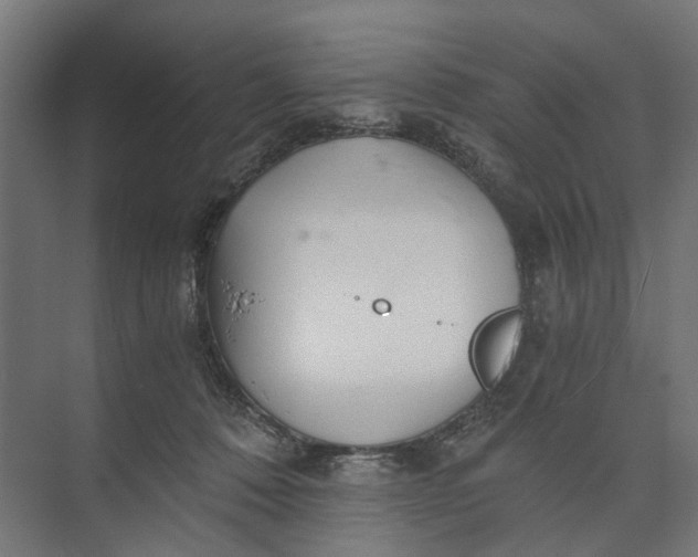 X0000073700320200608241424