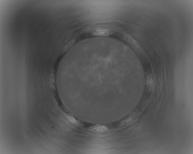 X0000073700322200608241424