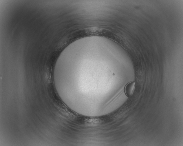 X0000073700324200608241424