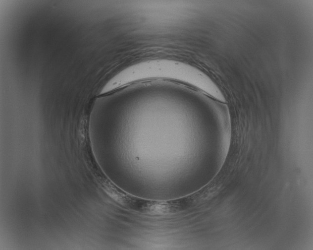 X0000073700325200608241424