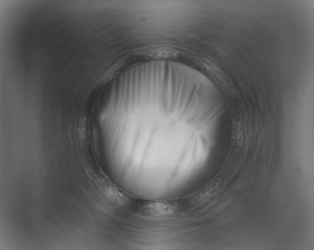 X0000073700326200608241424