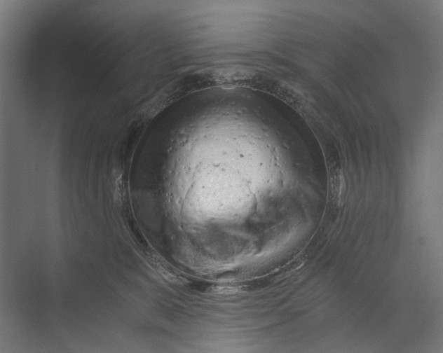 X0000073700327200608241424