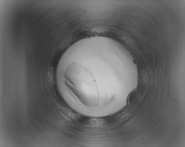 X0000073700328200608241424