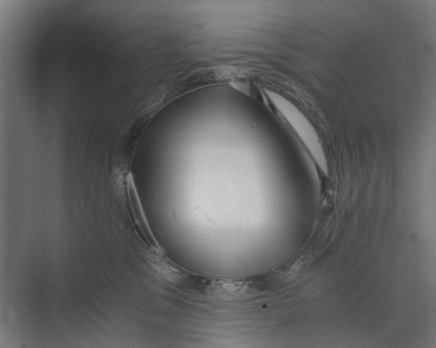 X0000073700329200608241424