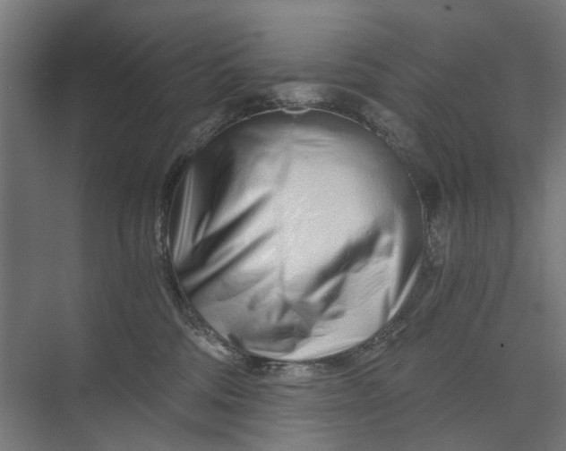 X0000073700330200608241424