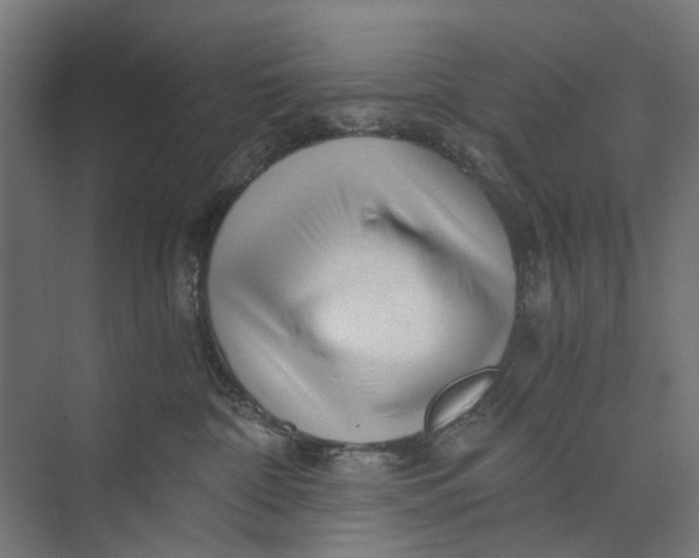 X0000073700332200608241423