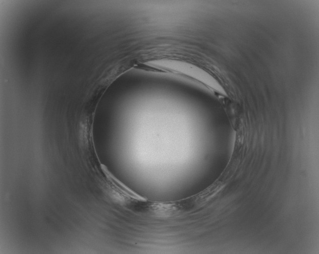 X0000073700333200608241423