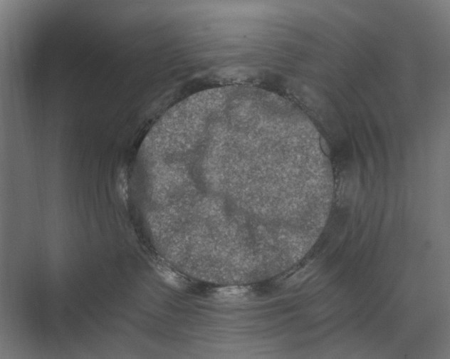 X0000073700335200608241423