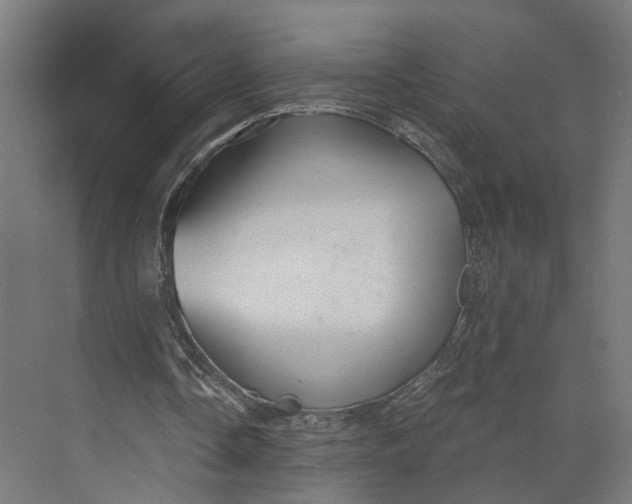 X0000073700338200608241423