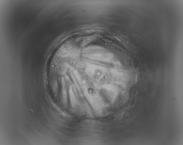 X0000073700339200608241423