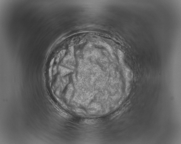 X0000073700341200608241423