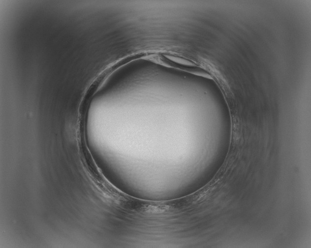 X0000073700346200608241423