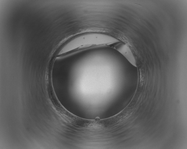 X0000073700348200608241423