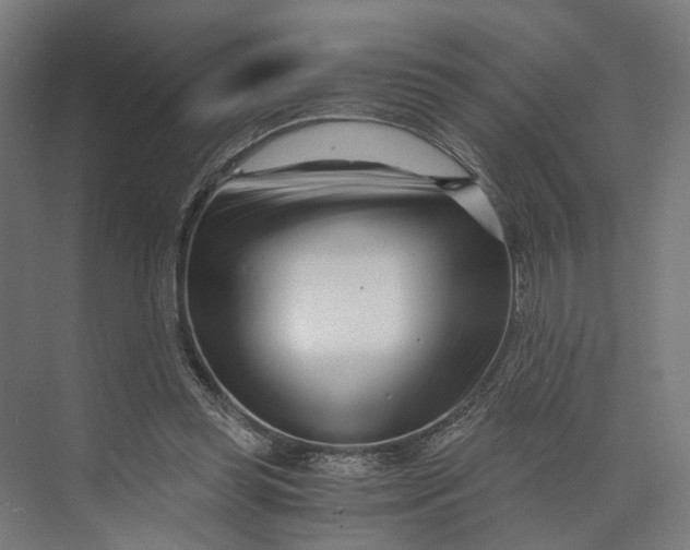 X0000073700349200608241423