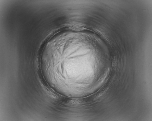 X0000073700351200608241423