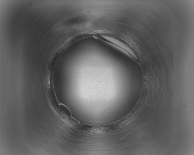 X0000073700358200608241423