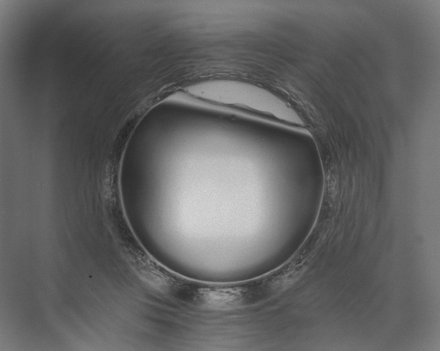 X0000073700359200608241423