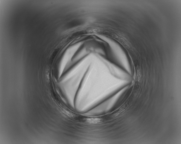 X0000073700363200608241423