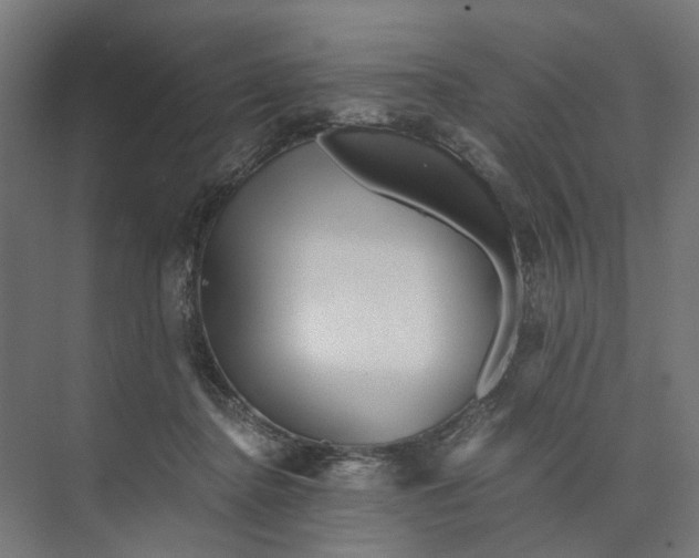 X0000073700364200608241423