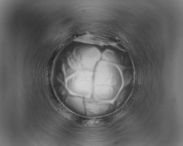 X0000073700366200608241423