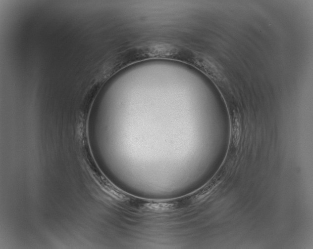 X0000073700367200608241423