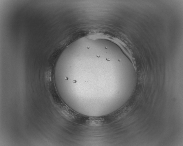 X0000073700368200608241423