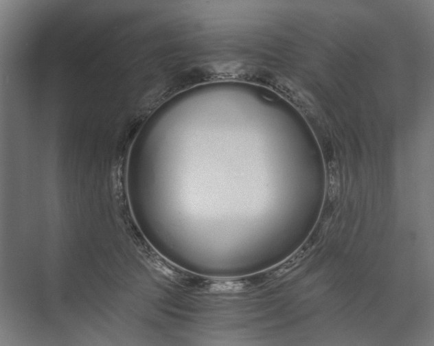 X0000073700369200608241423