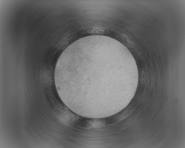 X0000073700370200608241423