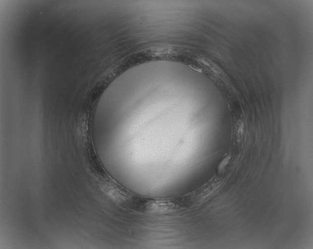 X0000073700372200608241423