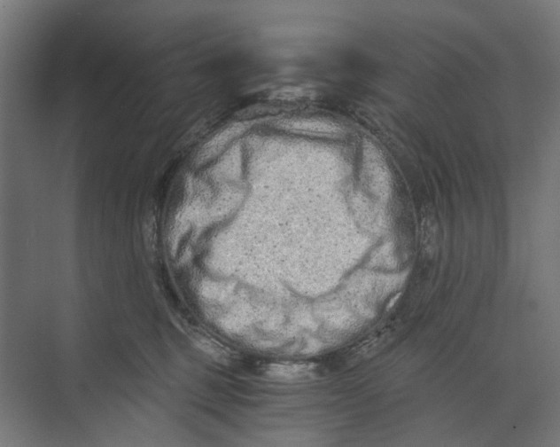 X0000073700375200608241423