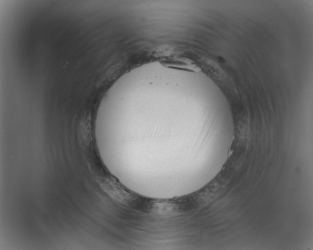 X0000073700376200608241423