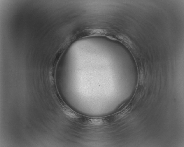 X0000073700377200608241423