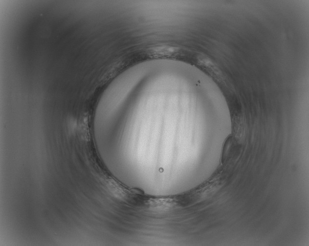 X0000073700378200608241423