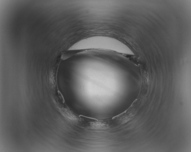 X0000073700380200608241423