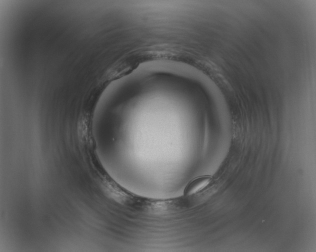 X0000073700382200608241423