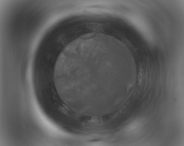 X0000073700383200608241423