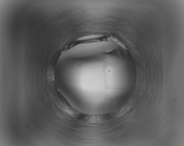 X0000073700384200608241423