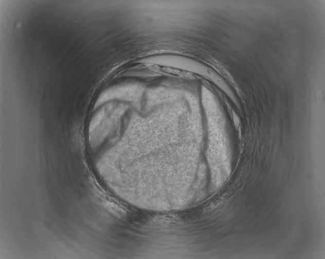 X0000073700386200608241423