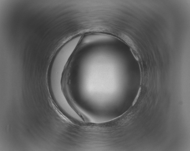 X0000073700389200608241423