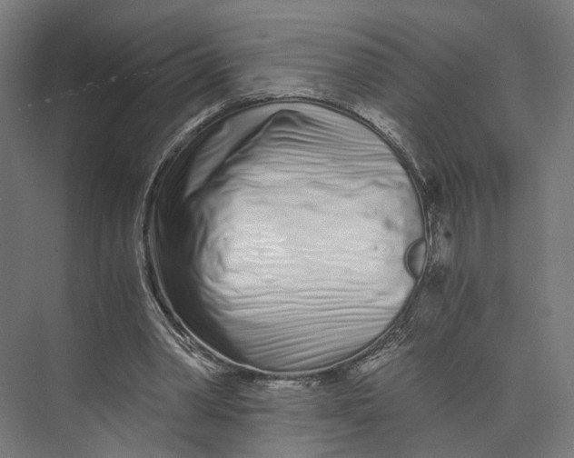 X0000073700390200608241423