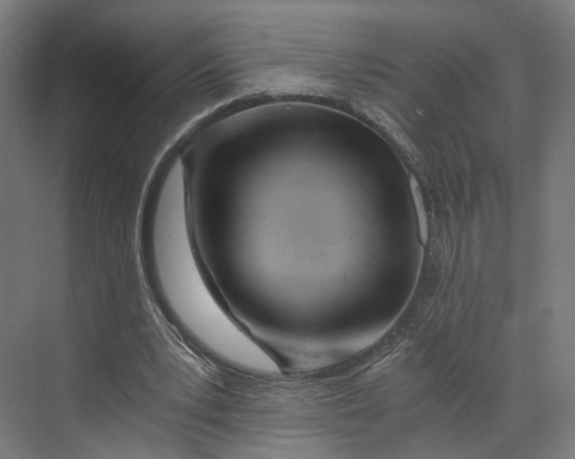 X0000073700391200608241422