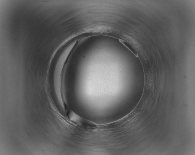 X0000073700392200608241422