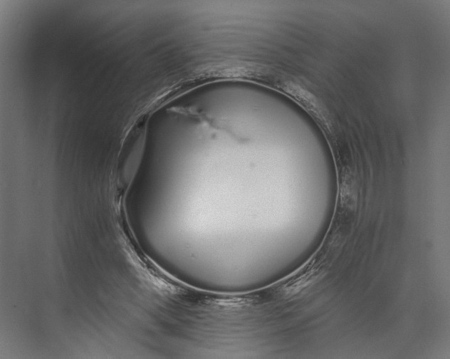 X0000073700394200608241422