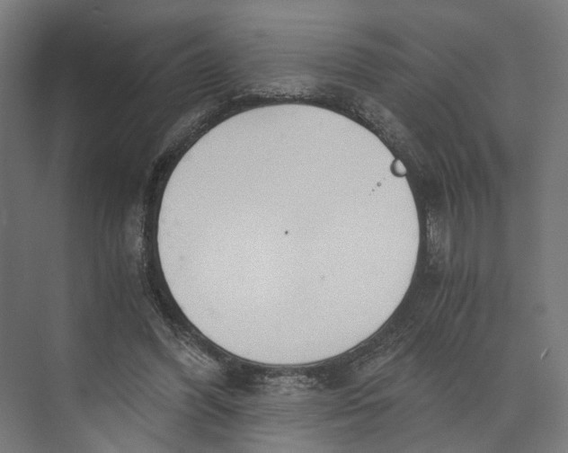 X0000073700396200608241422