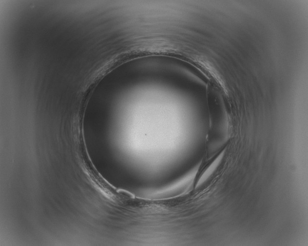 X0000073700397200608241422