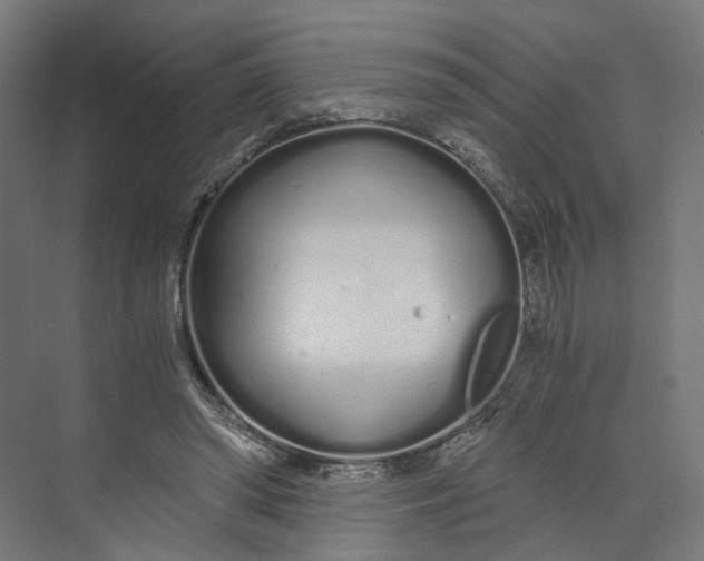 X0000073700398200608241422